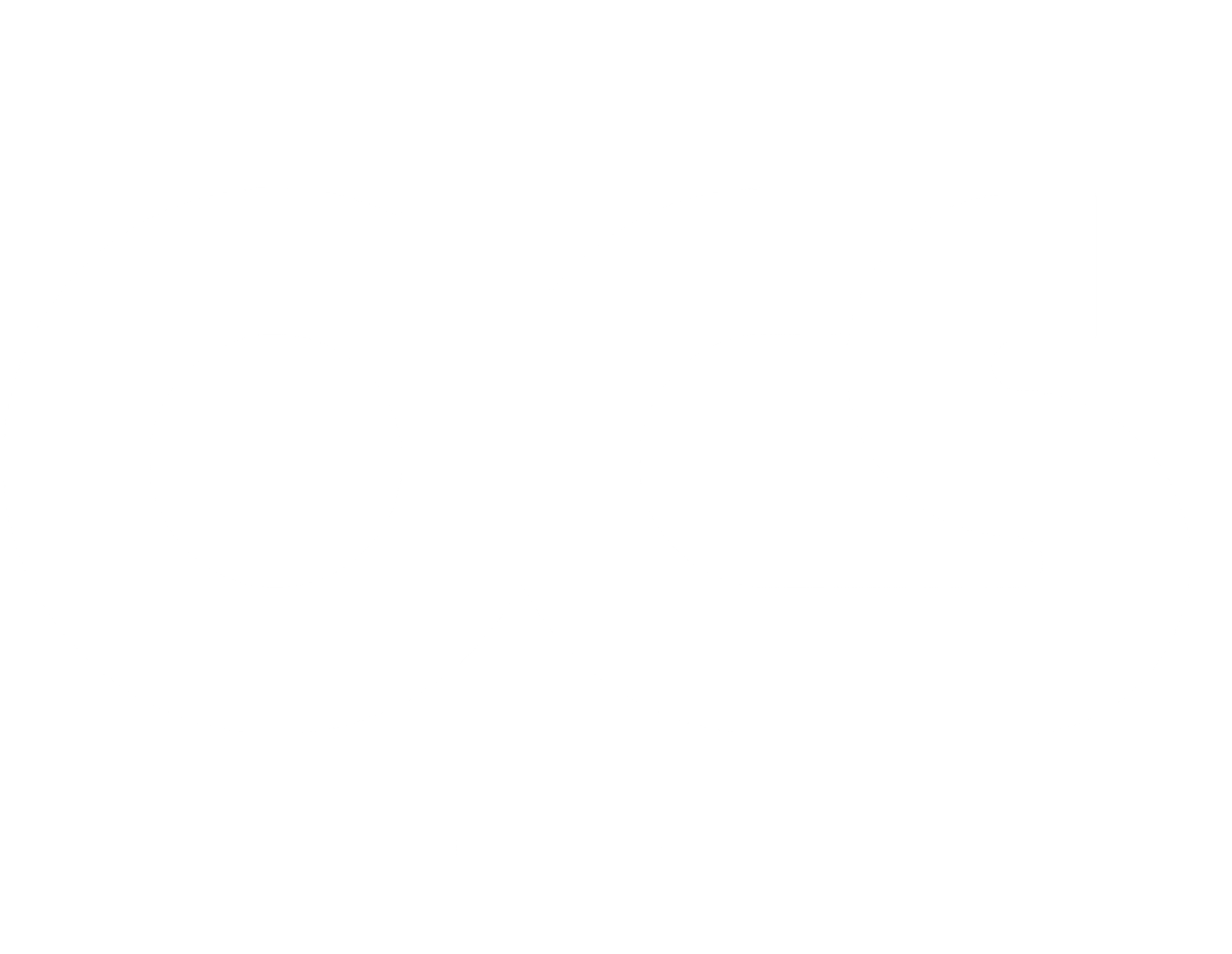 DCS Développement Conseil Solutions
