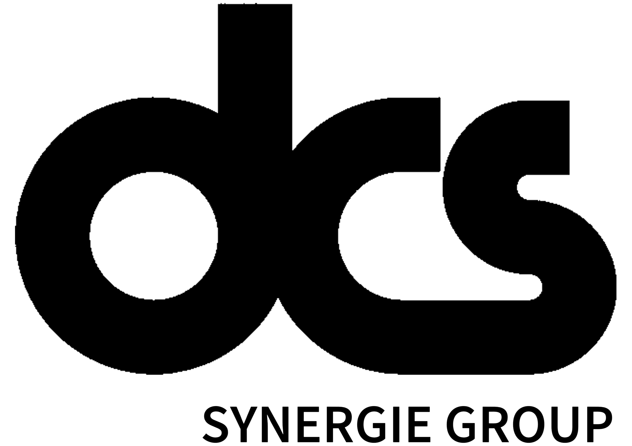 DCS Groupe Synergie